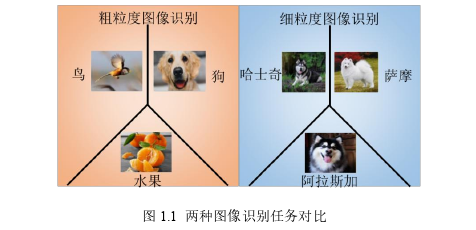 计算机应用论文怎么写