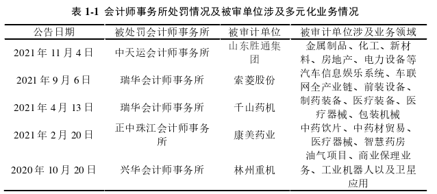 审计风险论文怎么写