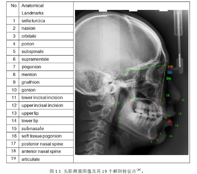 医学论文怎么写