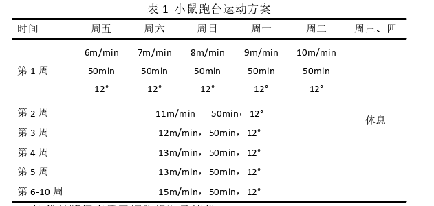 医学论文怎么写