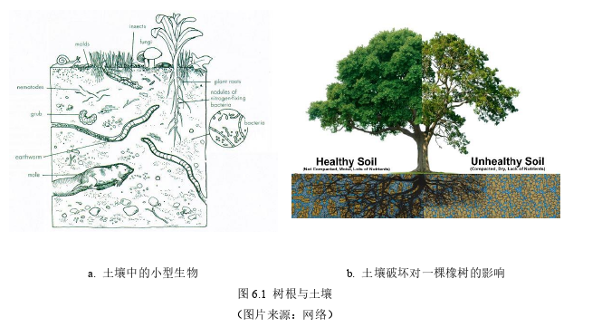 建筑学论文参考