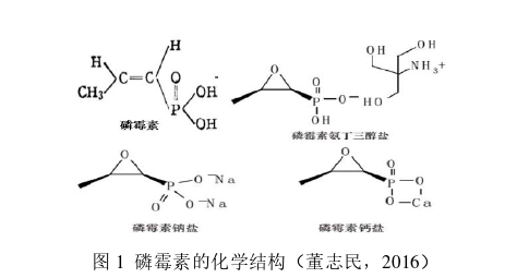 医药学论文参考