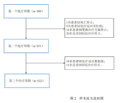 护理论文怎么写