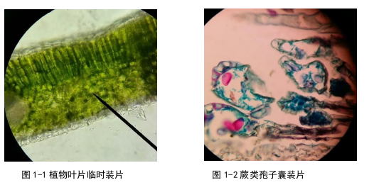 艺术论文怎么写