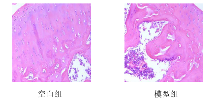 医学论文怎么写