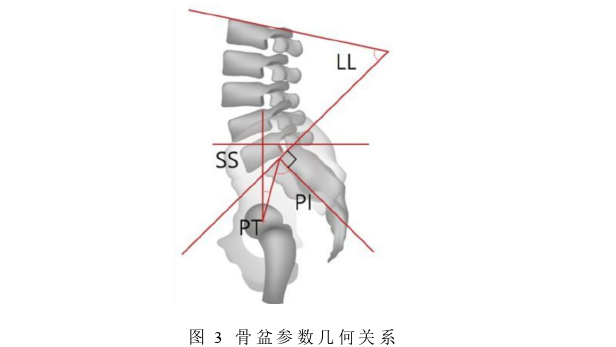 医学论文怎么写