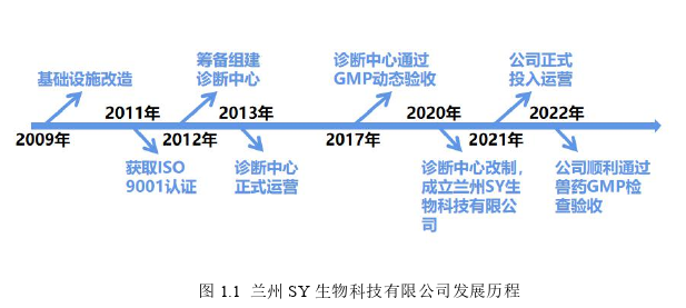 战略管理论文怎么写