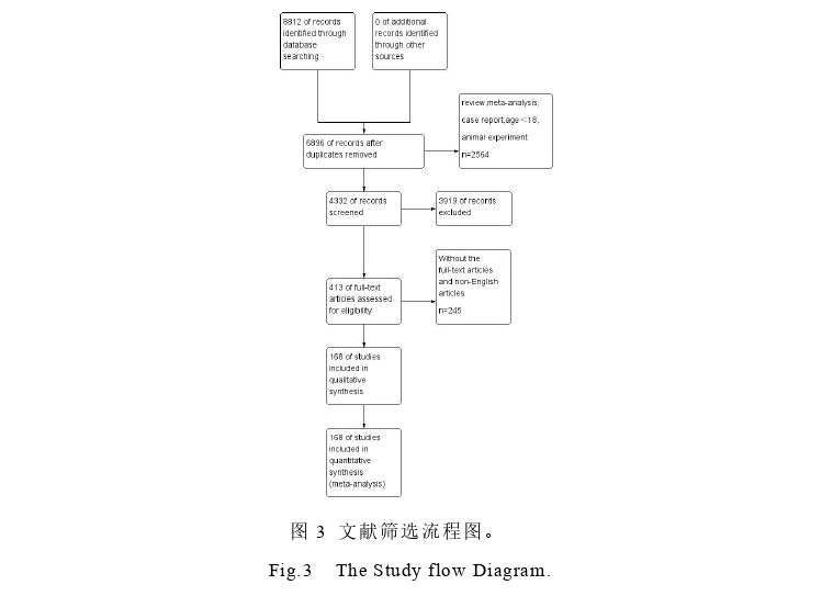 神经学论文怎么写