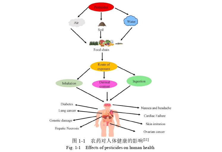 医学论文范文怎么写