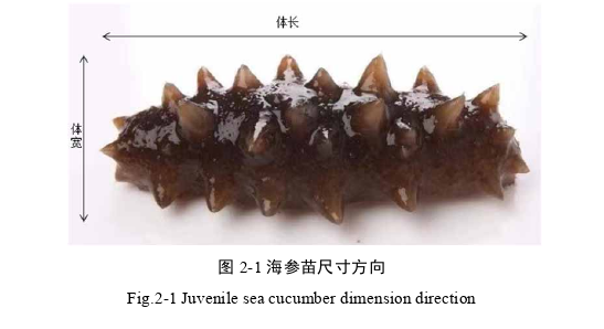 农业论文怎么写