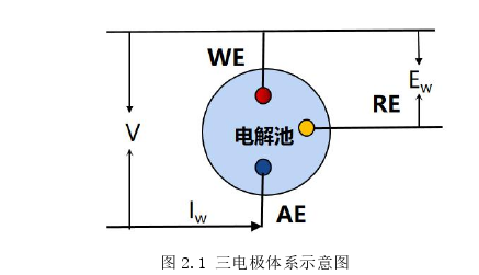 生物医学工程论文怎么写