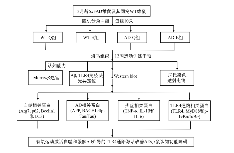 医学论文怎么写